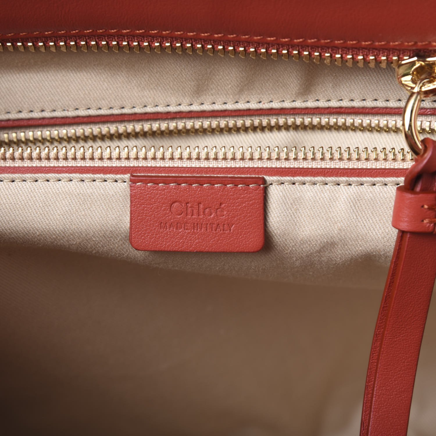 Chloe Smooth Calfskin Little Horses Embroidered Tao Zipped Tote Earthy Red — view 4
