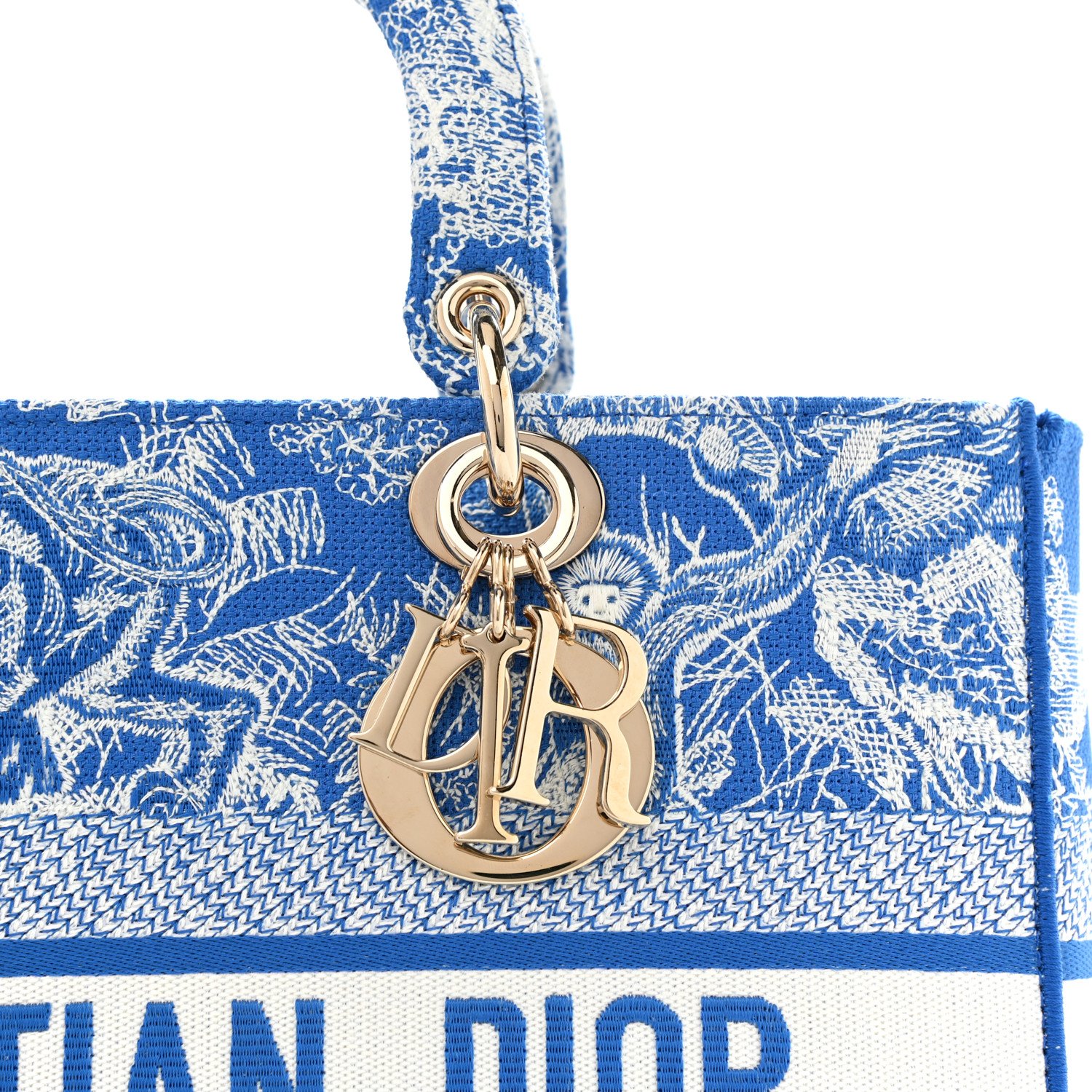 Christian Dior Toile de Jouy Embroidered Medium Lady D-Lite Fluorescent Blue — view 3