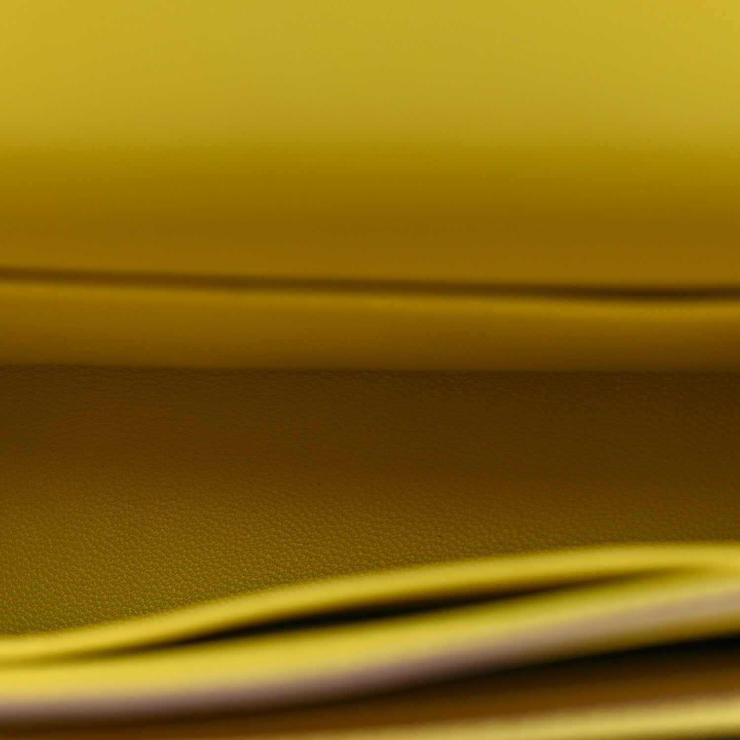 Chevre Mysore Mini Verrou Chaine Bag Lime — view 5