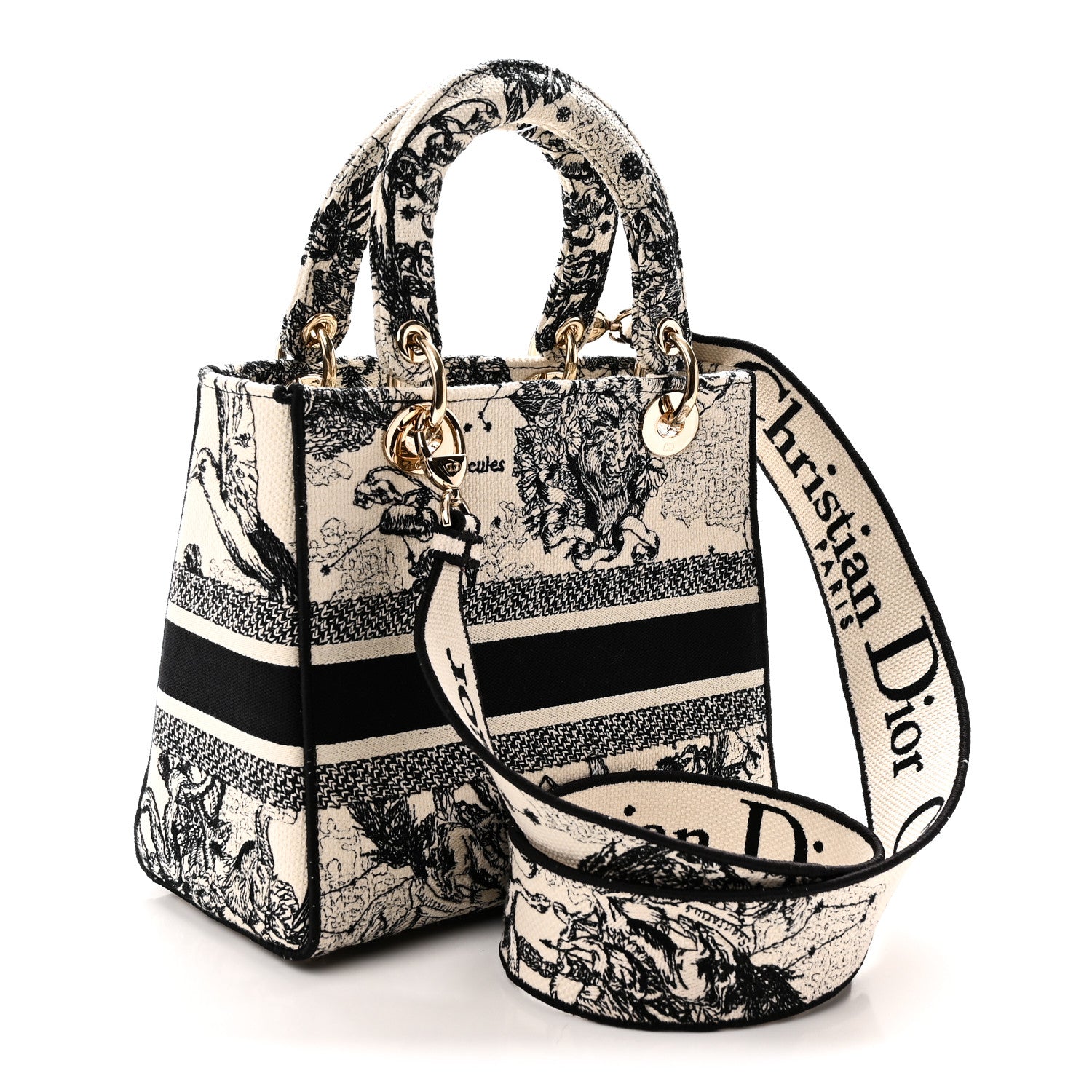 Canvas Embroidered Zodiac Toile De Jouy Medium Lady D-Lite Latte — view 3