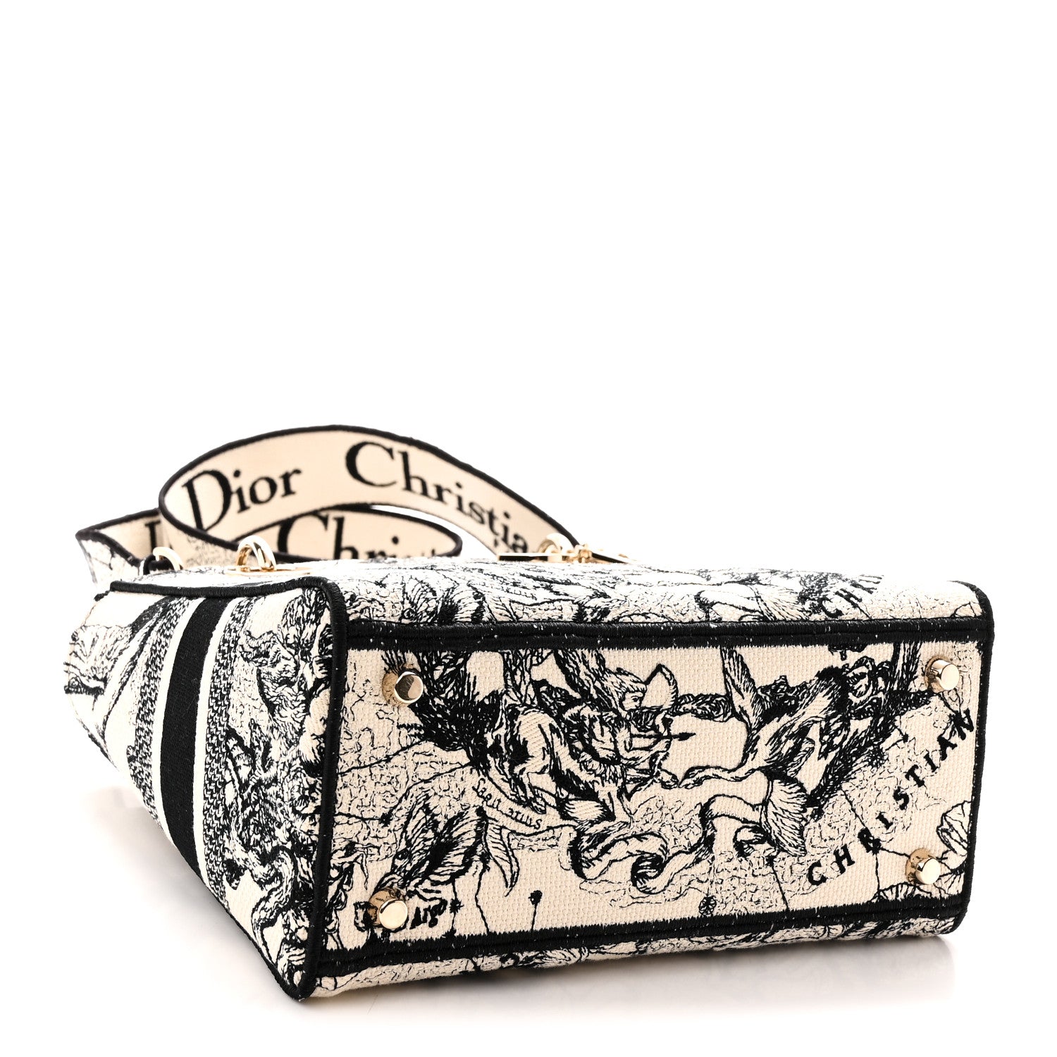 Canvas Embroidered Zodiac Toile De Jouy Medium Lady D-Lite Latte — view 4