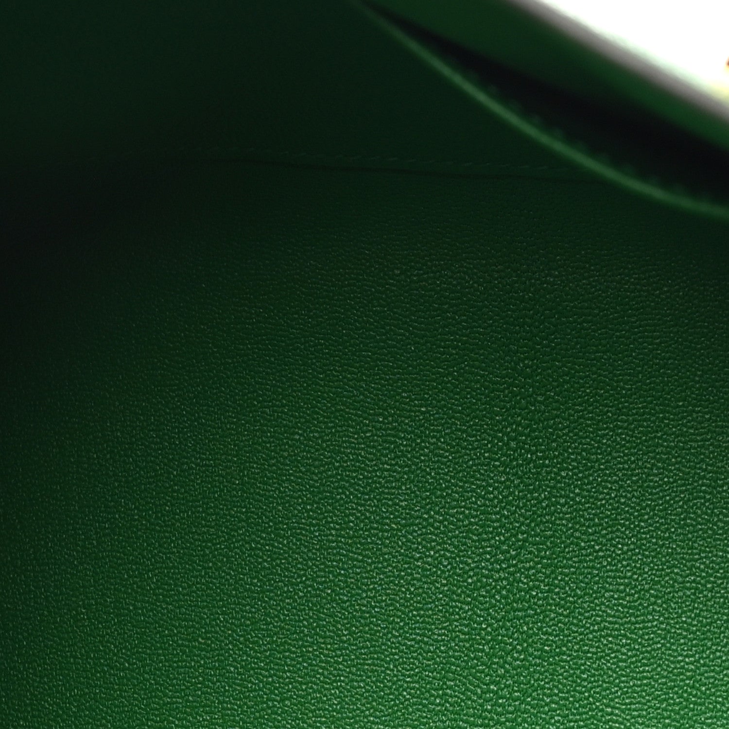 Chevre Chamkila Birkin Sellier 25 Bambou — view 5