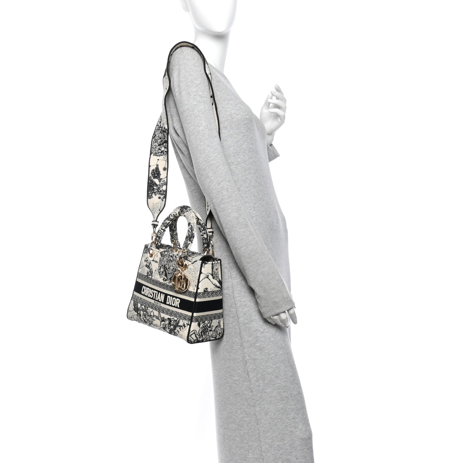 Canvas Embroidered Zodiac Toile De Jouy Medium Lady D-Lite Latte — view 2