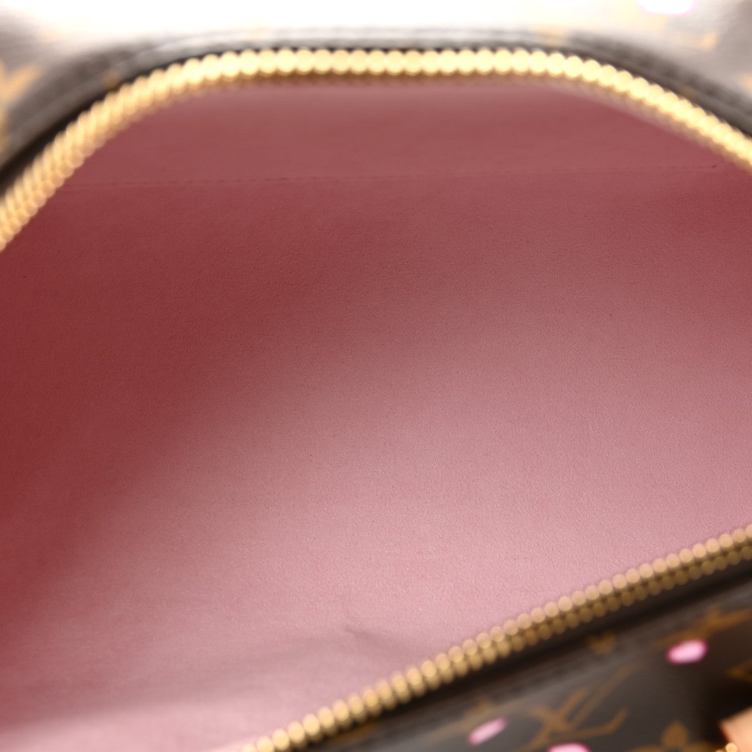 LV X TM Monogram Cherry Blossom Papillon Sakura Brown — view 5
