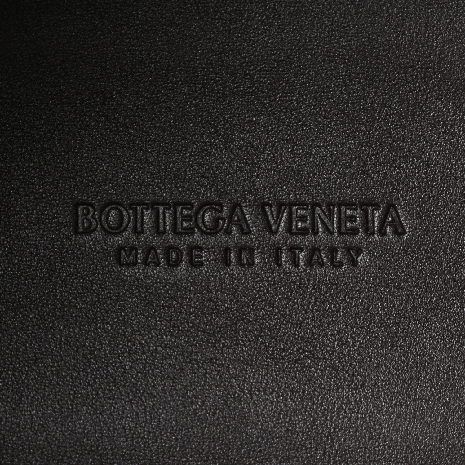 Silky Calfskin Medium Andiamo Shoulder Bag Fondant — view 5