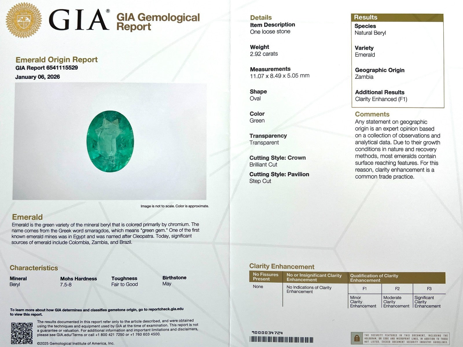 GIA CERTIFIED 2.92ct Natural VIVID Green Emerald Oval Cut 11x8.4mm MINOR OIL — view 2