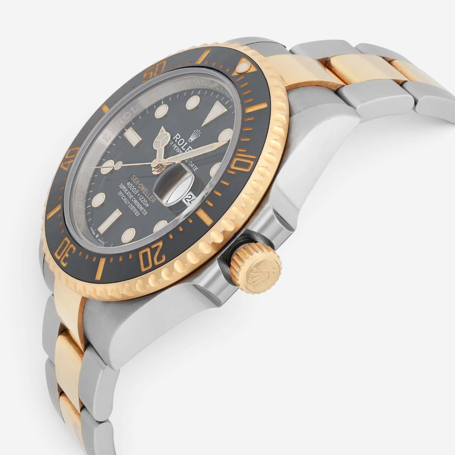 Rolex Sea-Dweller 18K Yellow Gold & Stainless Steel Automatic Men's Watch 126603 — view 2